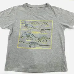 U246-25　Tシャツ 150　恐竜　ダイナソー　グレー
