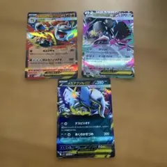 メガバクーダ　メガクチート　メガアブソル　rr