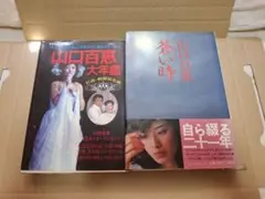 山口百恵 大年鑑＆蒼い時 2冊セット