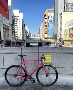 希少 MASH steel neon fade L フレームセット