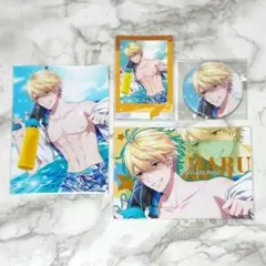 PLUSMATE 西園寺晴 セット