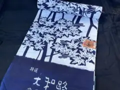 Item thumbnail for item f46e3c41-6e1f-42b0-b790-eee9372091e1