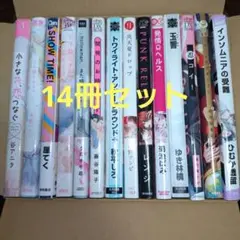 BLコミック　まとめ売り　トワイライト・アンダーグラウンド+＋他14冊セット