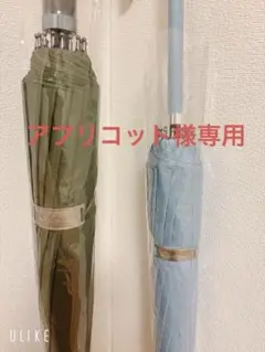 レクサス　⭐︎非売品⭐︎　傘　2本セット　メンズ　レディース　グリーン&ブルー