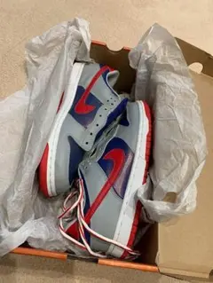 Nike Dunk Low samba 2001年 26cm 未使用