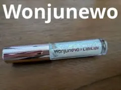 Item thumbnail for item c9f5bf49-9a7b-4e5d-861c-0962a919683e