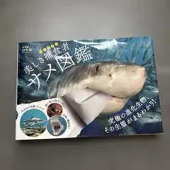 美しき捕食者(プレデター)サメ図鑑