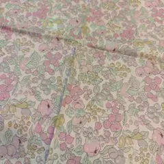 リバティ555 250 250