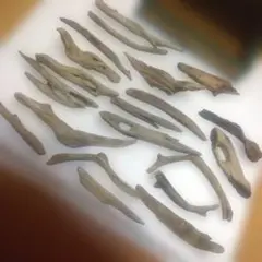 Item thumbnail for item 6b86896e-990f-4f3c-9e4f-85cbd738ce76