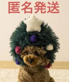 Item thumbnail for item f7e486d3-96aa-430a-8924-b625aec2f9e3