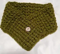Item thumbnail for item 0b65356e-8790-4f9b-acfc-de2c3c658a8c