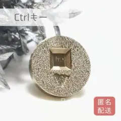 P-73　シーリングスタンプ　ヘッド　Ctrlキー　3D コントロール　PC