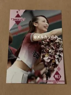 Item thumbnail for item 9327aa06-63db-40f9-b7ba-c3848fae3d2e