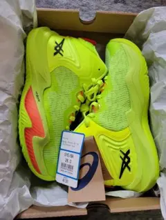 未使用☆ASICS NOVA SURGE 3 PARIS 26.0cm