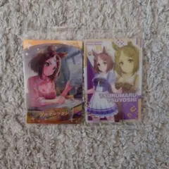 ウマ娘プリティーダービー カード ツルマルツヨシ