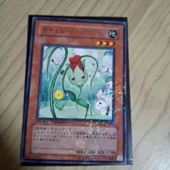 ナチュルローズウィップ