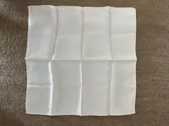 Item thumbnail for item 8c0fd69d-bda7-4620-87e4-6a83bea3d991