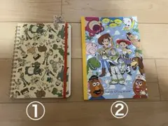 Item thumbnail for item 851421c7-d130-4cf3-88c2-a5e038fec1e0