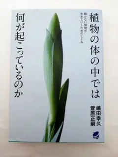 植物の体の中では何が起こっているのか