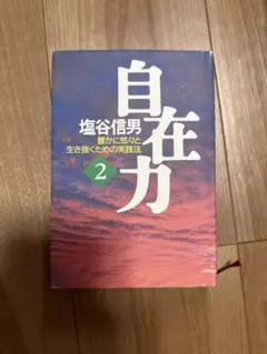 自在力 2