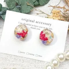 #3917/ハンドメイド♡押し花ドライフラワーレジンピアス