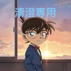 専用
