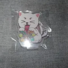 銀魂　ひらかたパーク　定春　アクリルスタンド