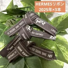 ④エルメス　リボン　2025年×3本　最新