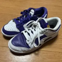 NIKE ナイキ ウィメンズ ダンク ロー メイド ユー ルック 25cm