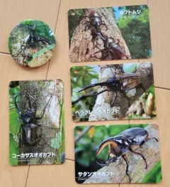 非売品　ぐんま昆虫の森　昆虫カード4枚と缶バッジセット