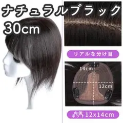 Item thumbnail for item 8b55bb45-9c4e-4e14-9324-a88cb1e31bcb