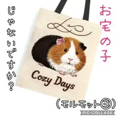 新品♥モルモット③♥トートバッグエコバッグ♥