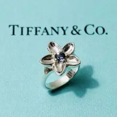 Item thumbnail for item 5fc08783-af38-411a-84b9-236643ef2648