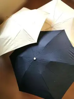 Item thumbnail for item 111ebf49-c70b-446d-aa71-2415de57f1a1