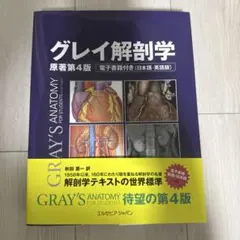 グレイ解剖学