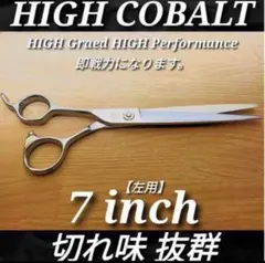 Item thumbnail for item 1115c73c-50f8-4add-88d7-01152178ae0d