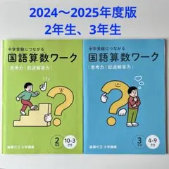 2年生 3年生 国語算数ワーク 2冊セット　進研ゼミ