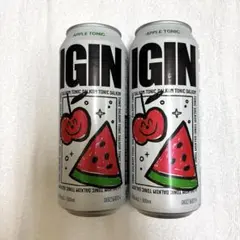 韓国　BTS JIN ジン IGIN アイギン スイカ 2本セット　新作