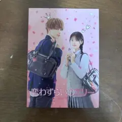 恋わずらいのエリー DVD