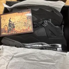 Air Jordan 4 black cat