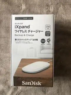 SanDisk SDIZ90N-256G