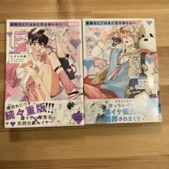 着飾るヒナはまだ恋を知らない2巻セット