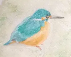 水彩画　カワセミ