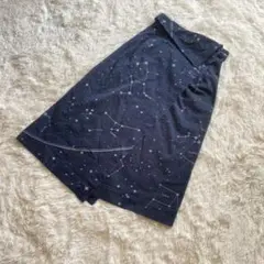 イッセイミヤケ ISSEI MIYAKE デニムロングスカート 星座柄 総柄