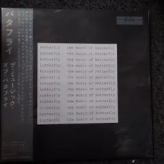 レア盤　SO SAD / VINCENT GALLO ヴィンセント ギャロ ヴィンセント・ギャロ：VINCENT GALLO/RECORDINGS OF MUSIC FOR