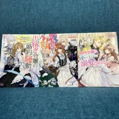 女性向け小説 3巻セット (バラ売りも可)