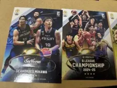 Bリーグ　ステッカー