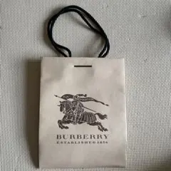 BURBERRY ショッパー紙袋