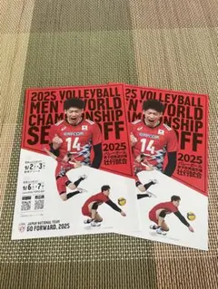 ネーションズリーグ　vnl 2025 チラシ　世界選手権　壮行試合　男子バレー