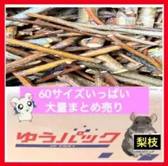 Item thumbnail for item 42b1a065-e7c6-49a6-a4b2-b8e87d03d6cb